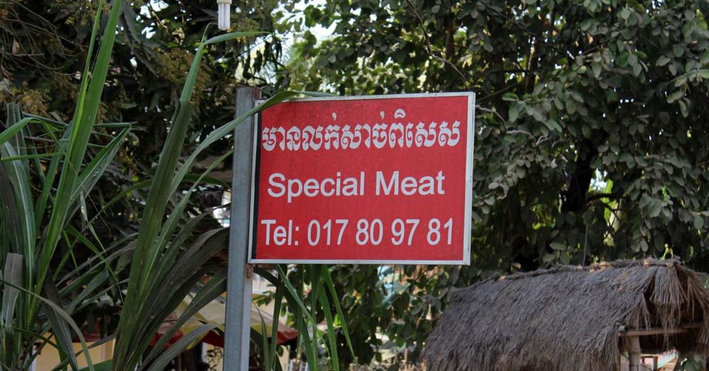 Special Meat