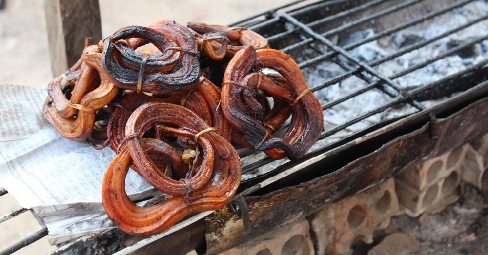 Grilled snake.