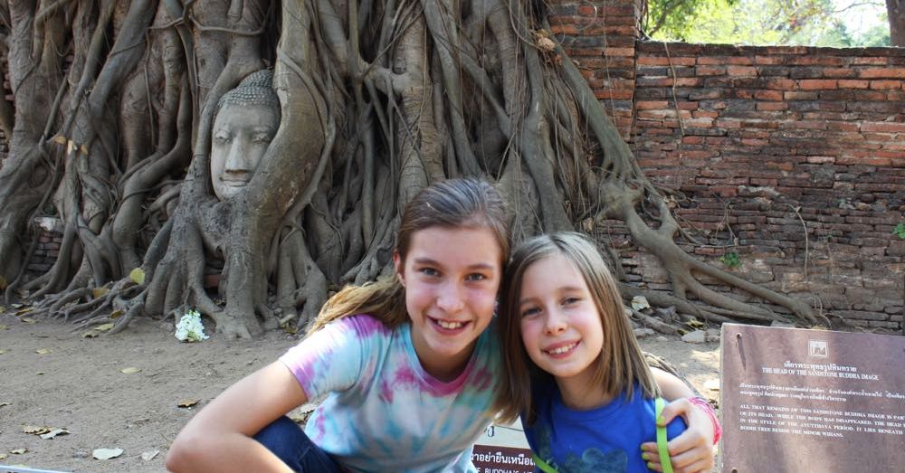 Buddha Head in a Bodhi Tree