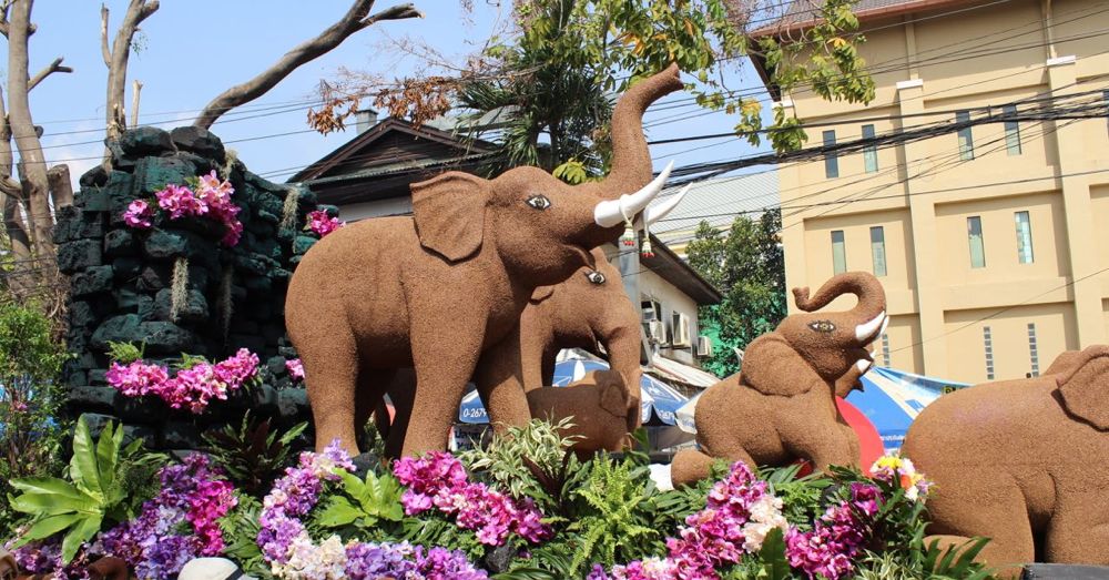 Chiang Mai Flower Festival