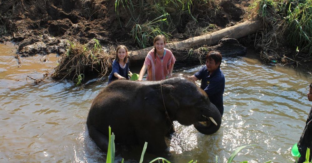 Elephant Bathing