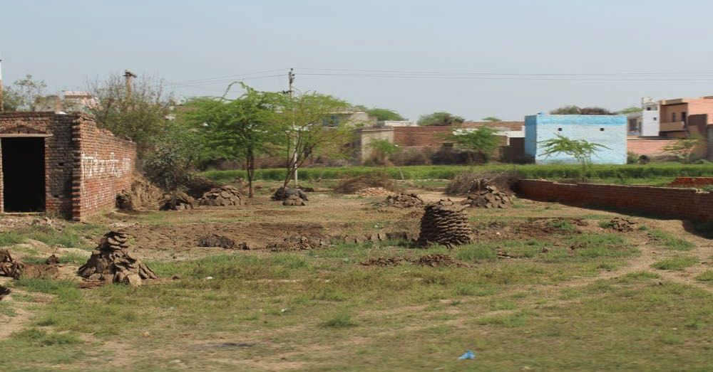 Dung Piles