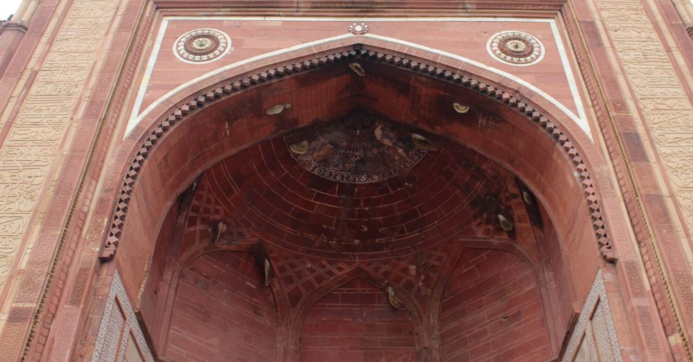 More Rafter Bees in Fatepur Sikri