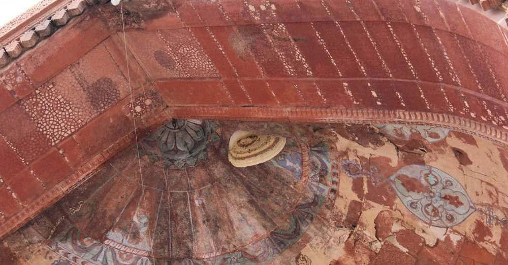 Rafter Bees in Fatepur Sikri