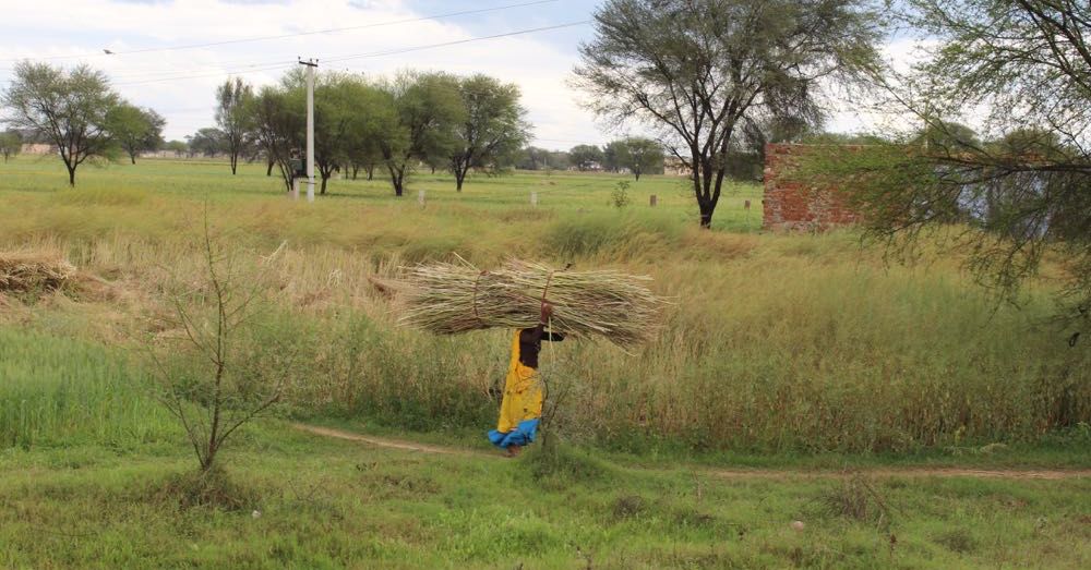 Woman Working