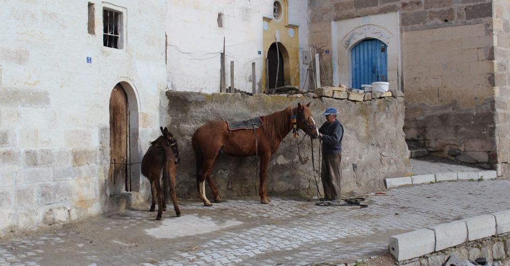 Man with horse and donkey