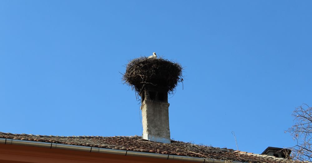 Stork Nest in Viscri