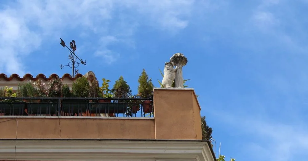 El Oso y El Madroño