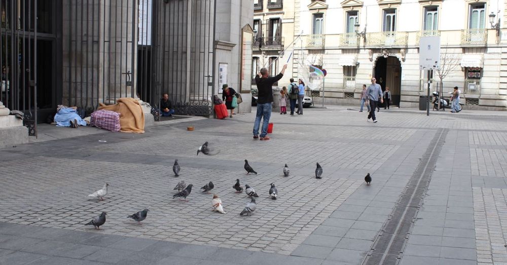 Birds, Bubbles, Bums