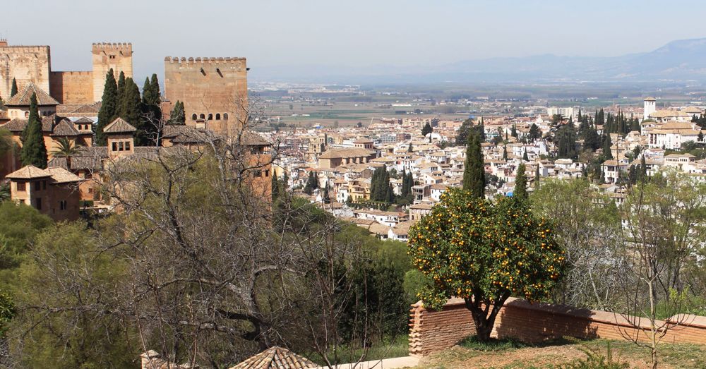 Granada, Orange Tree