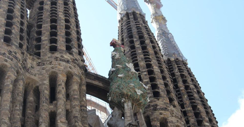 Tree on the Sagrada Familia