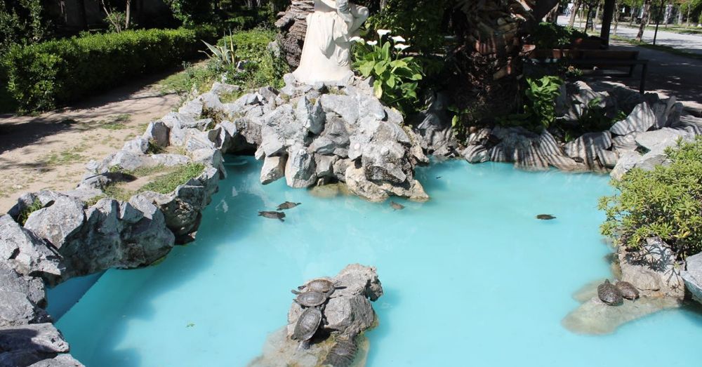 Grecian Turtles in a Pool