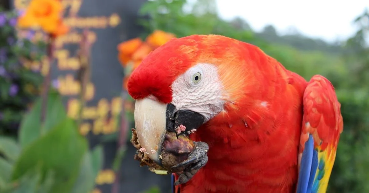 Arrival in Costa Rica