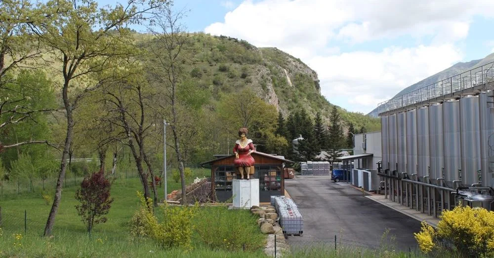 Ginat Woman at Amarcord Brewery