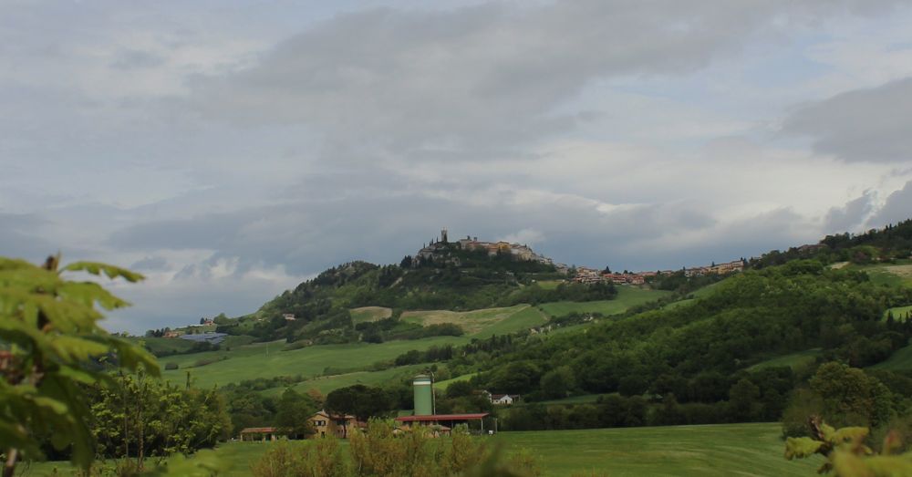 Urbino