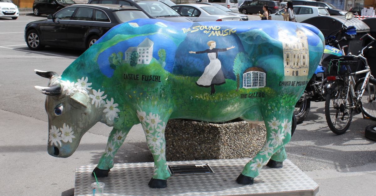 Sound of Music Cow