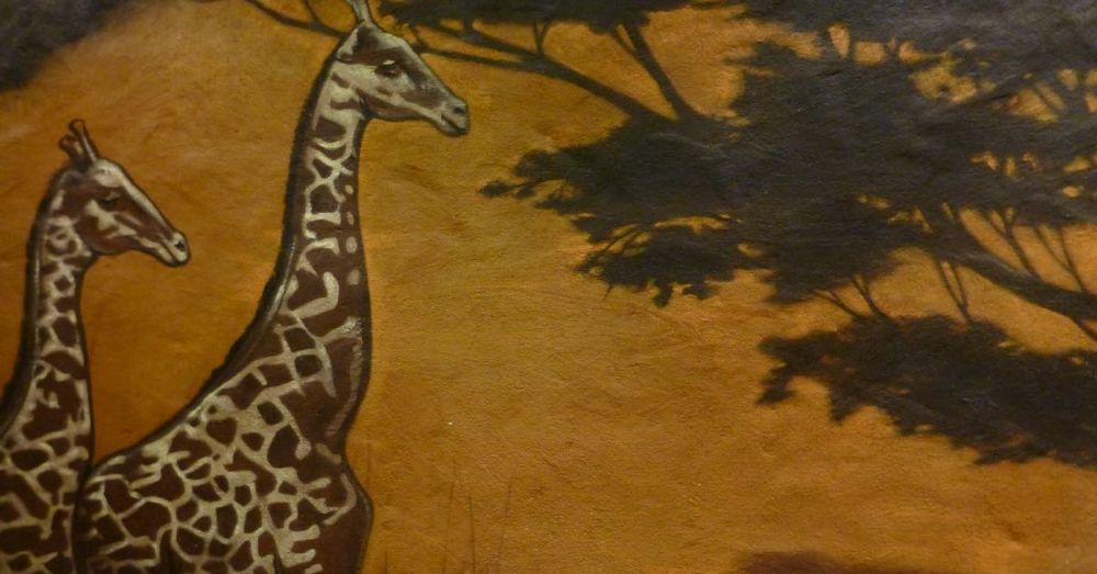 Giraffes on the Wall