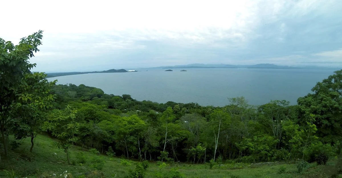 Drive to Costa de Pájaros