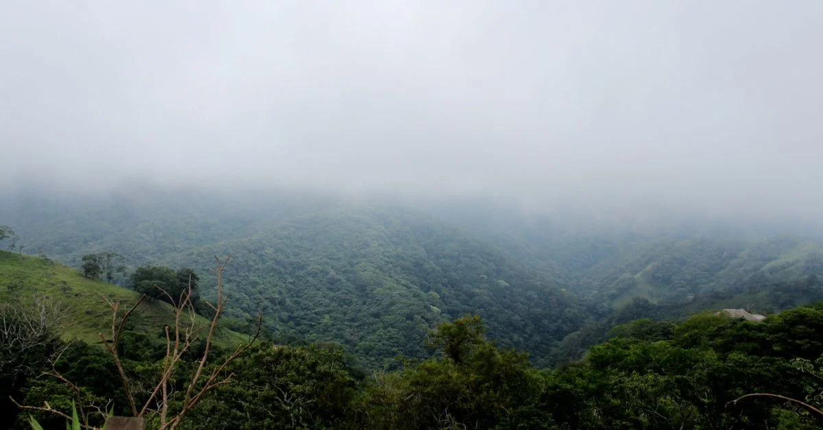 Monteverde (Almost)