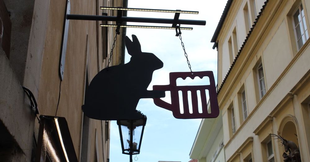 Rabbit Serving Beer