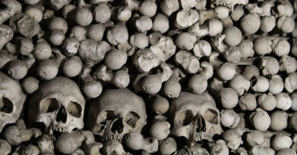 Bones in Sedlec Ossuary