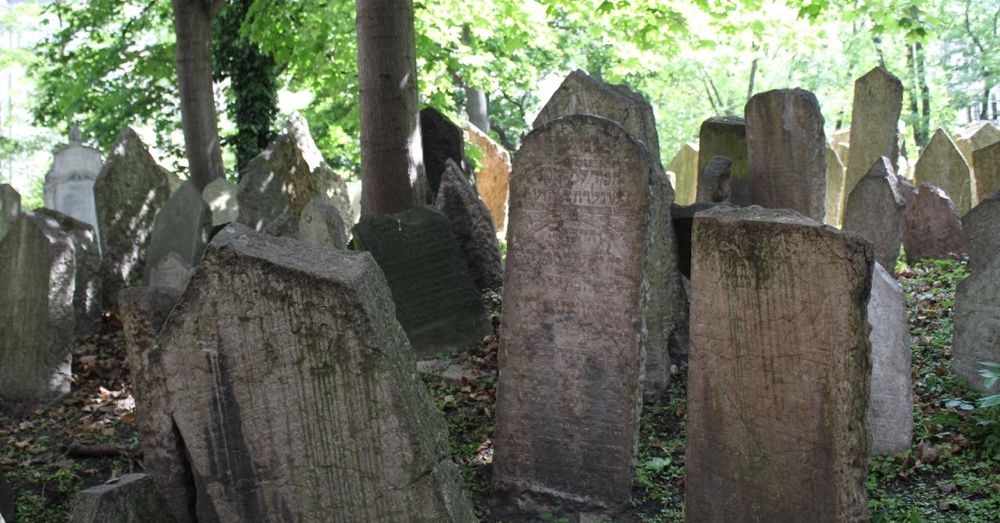 Prague Cemetery