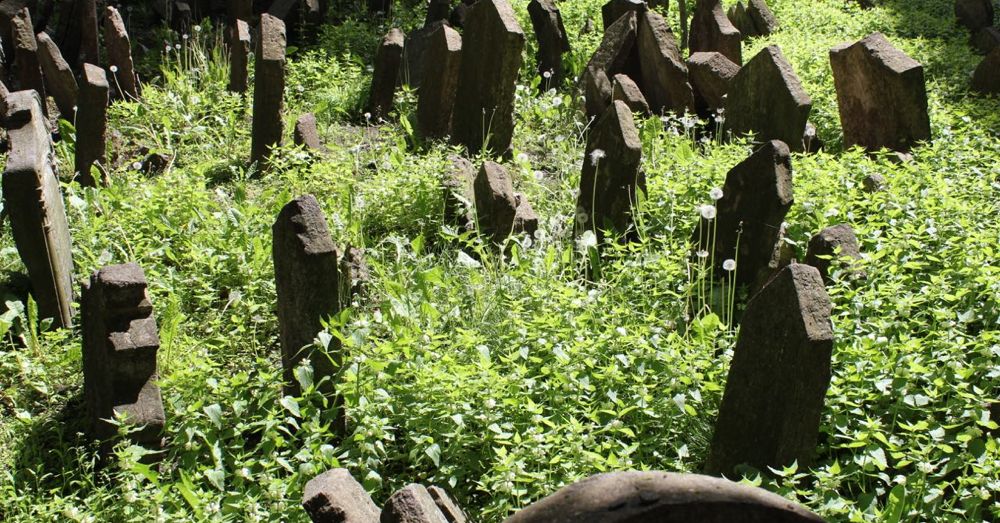 Prague Cemetery