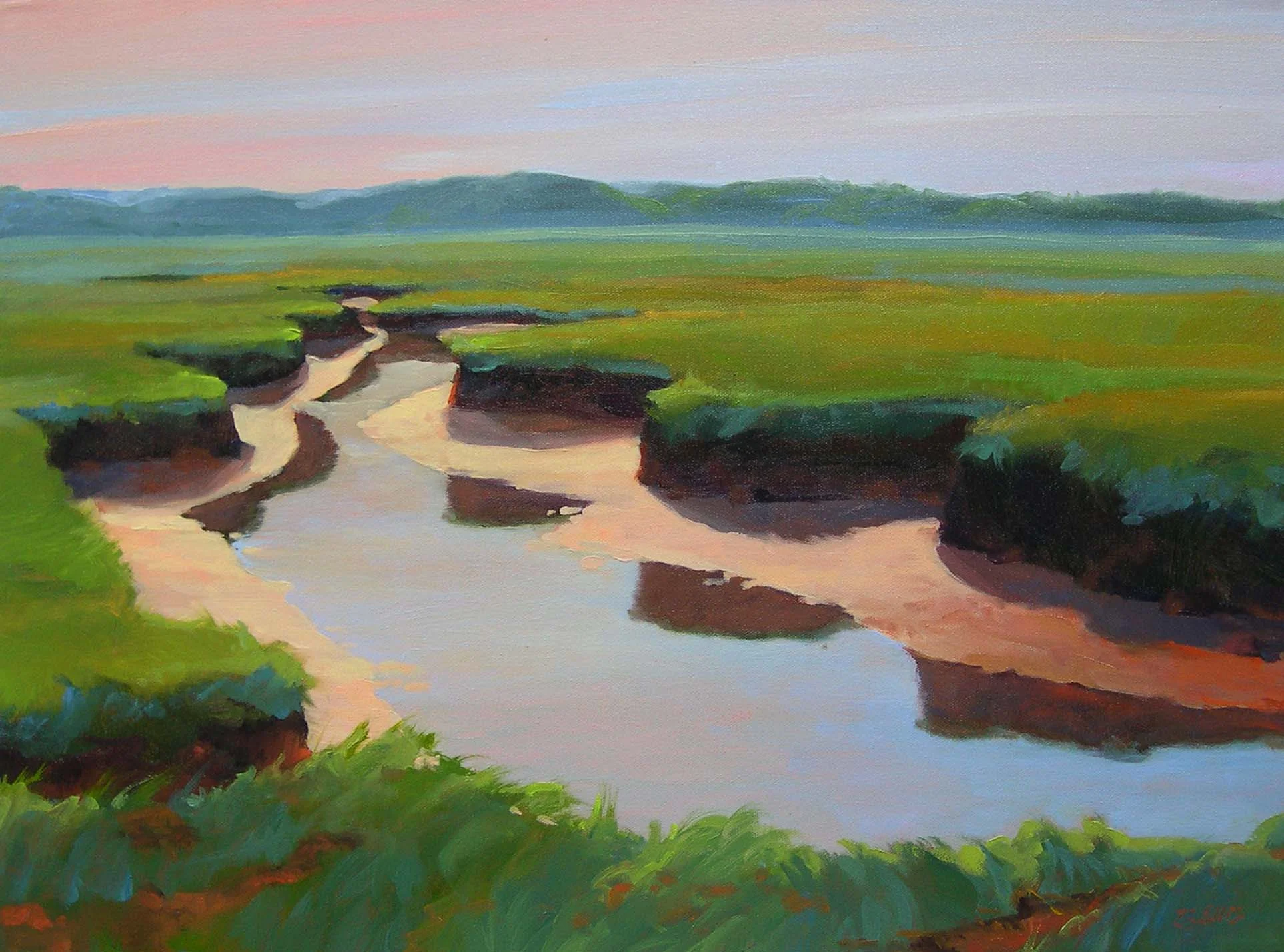 Salt Marsh.jpg