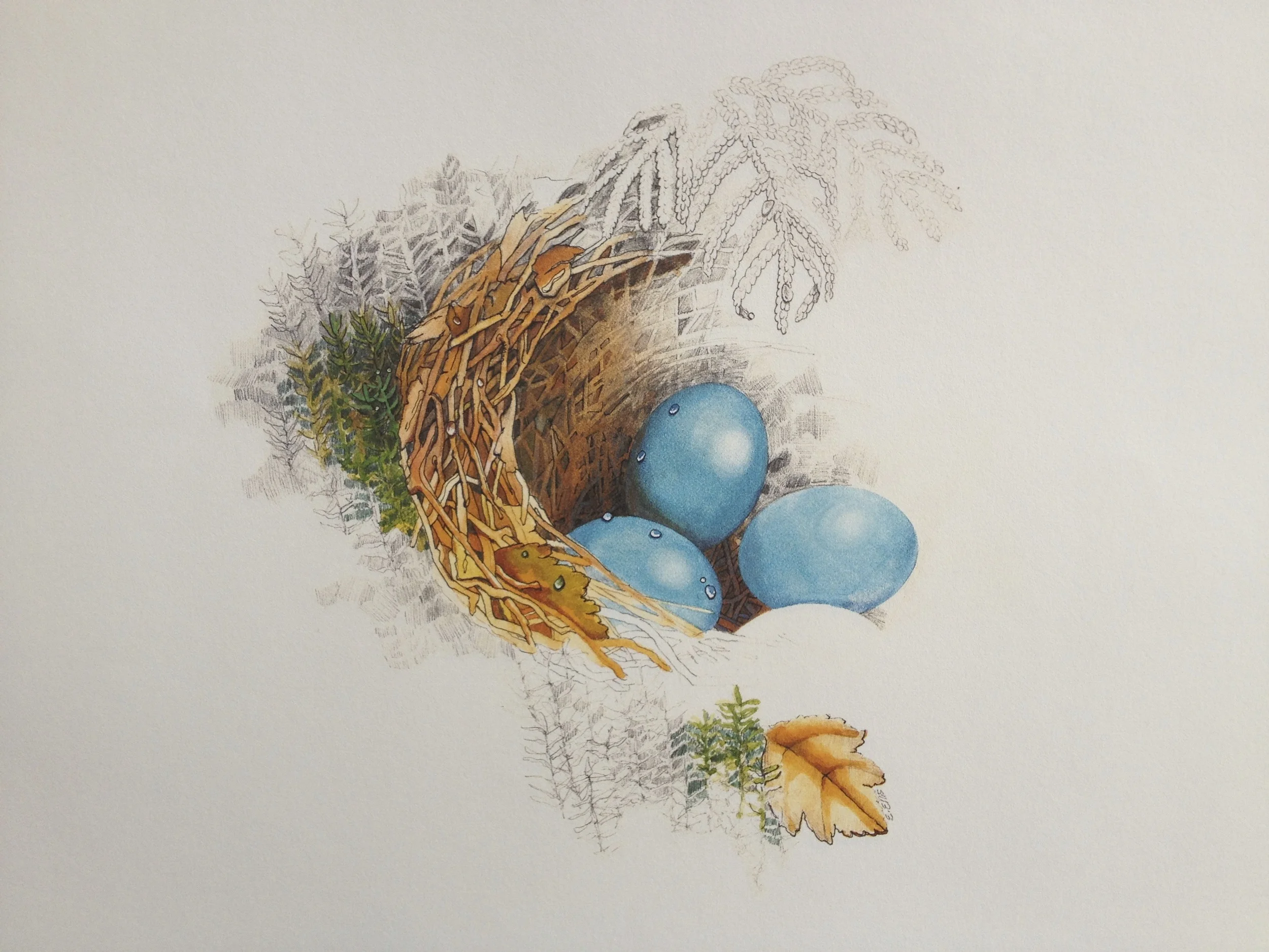 Spring Awakening.jpg