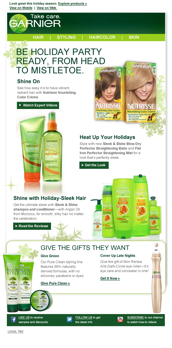 Garnier Holiday Email.jpg