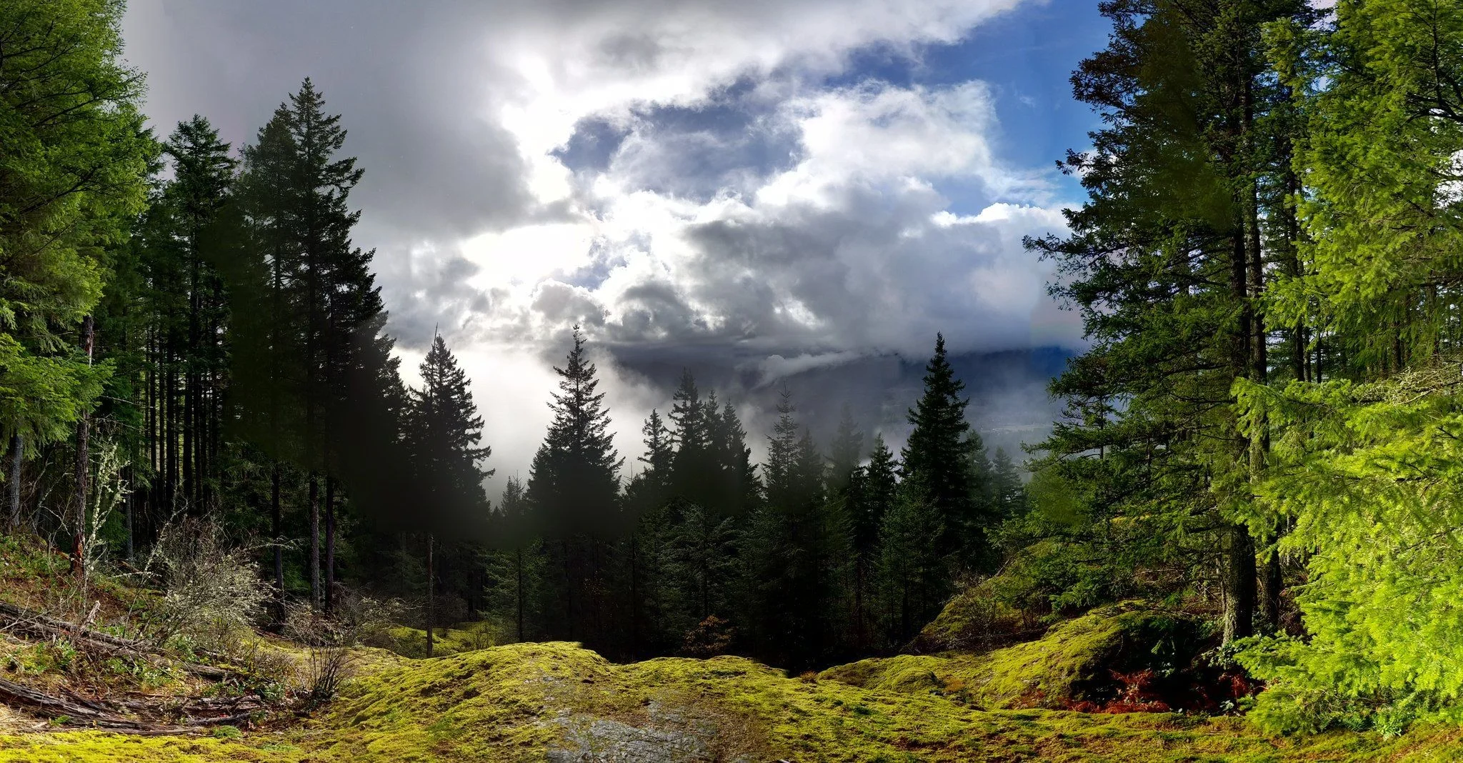 Hike the Boulder Garden Loop