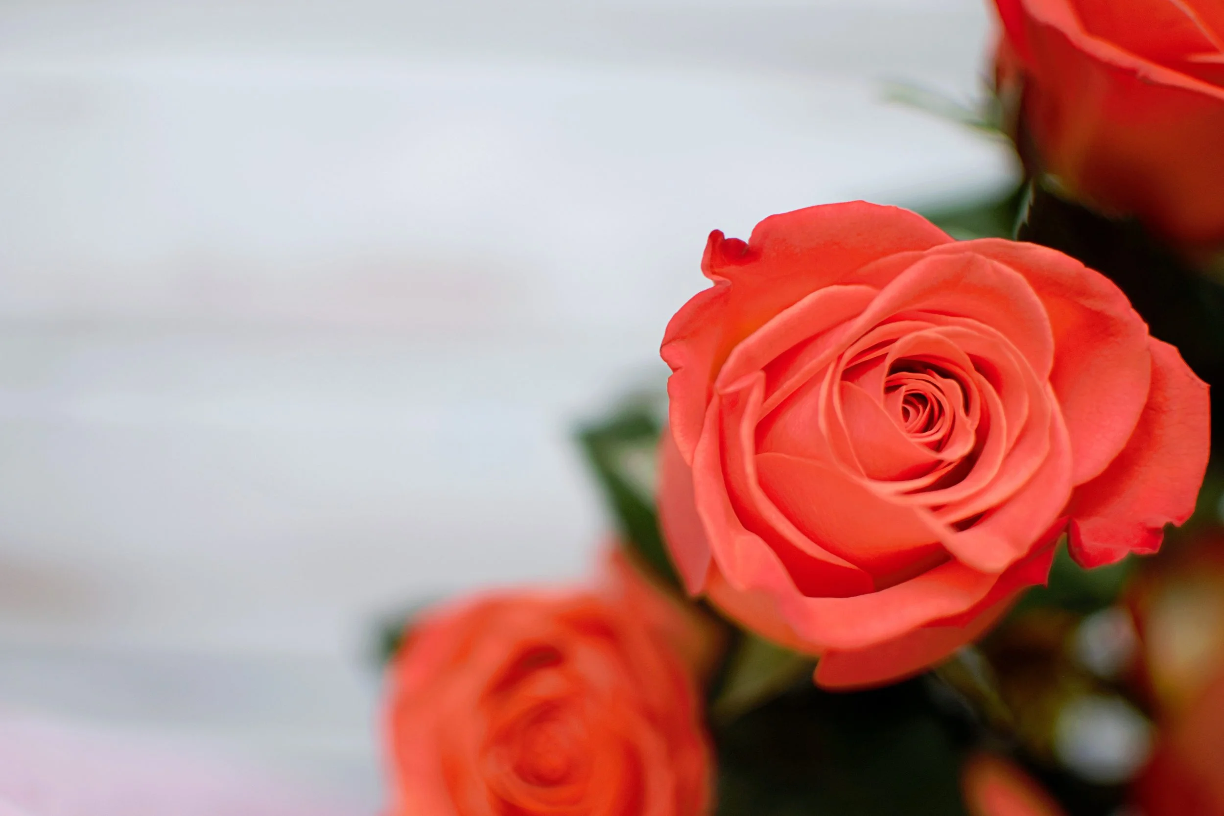 Patricia Barrett Memorial Service