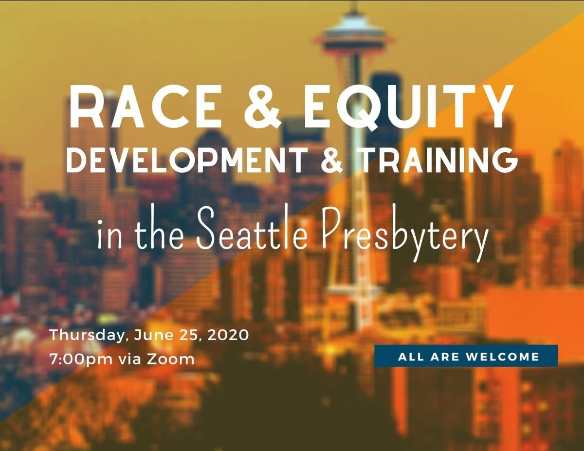race &amp; equity development training