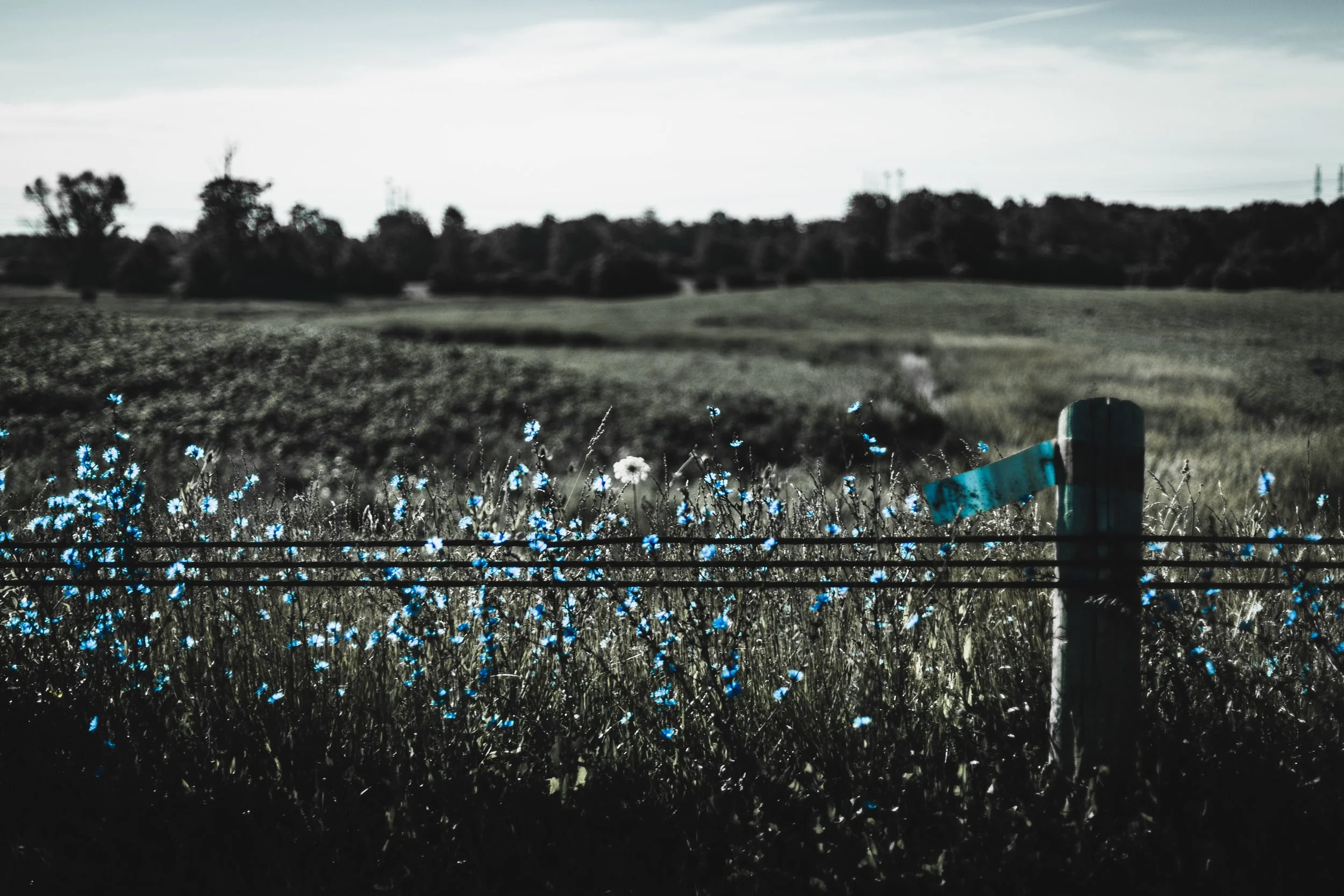Unguided