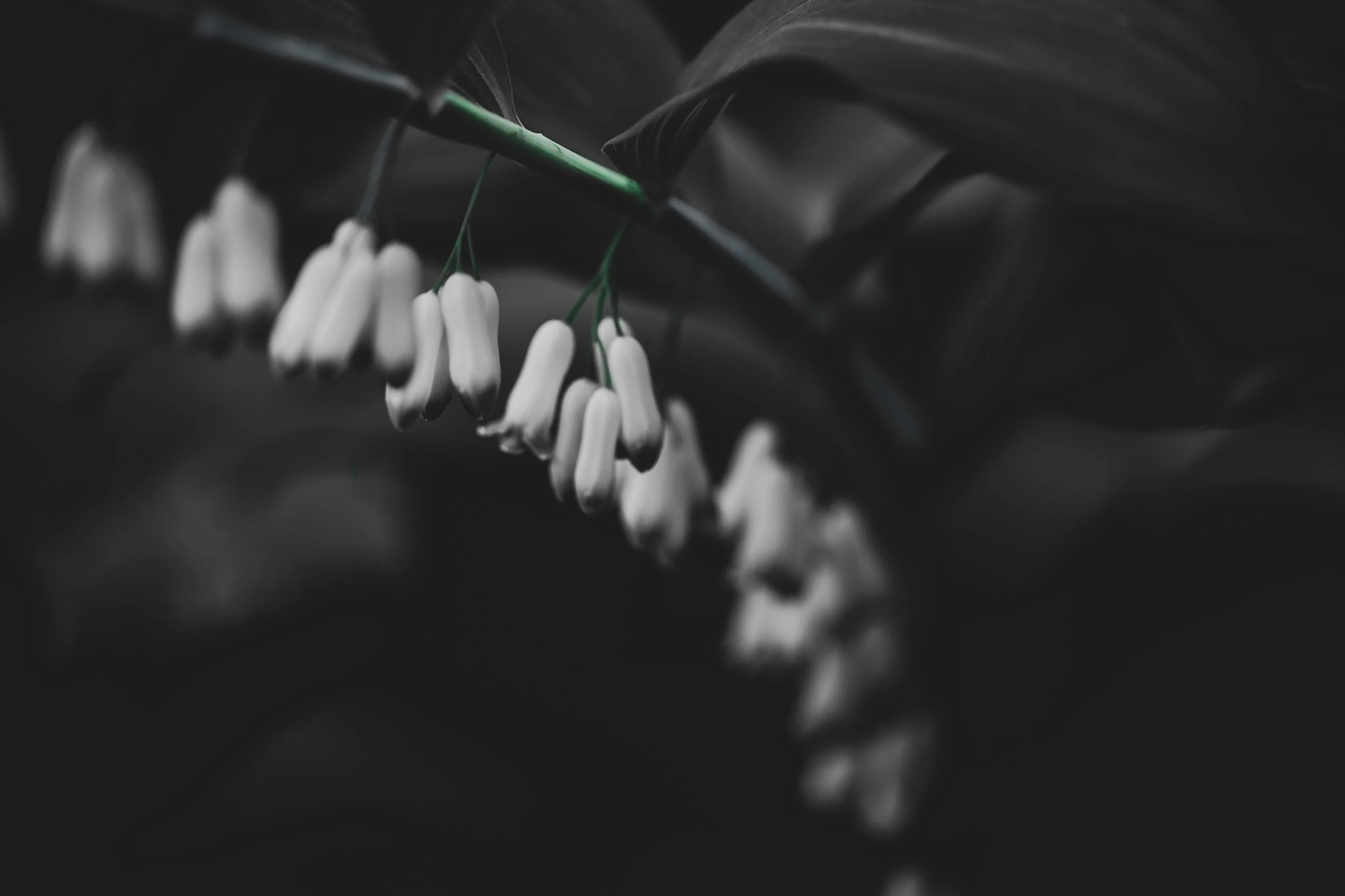 Chain-Gang
