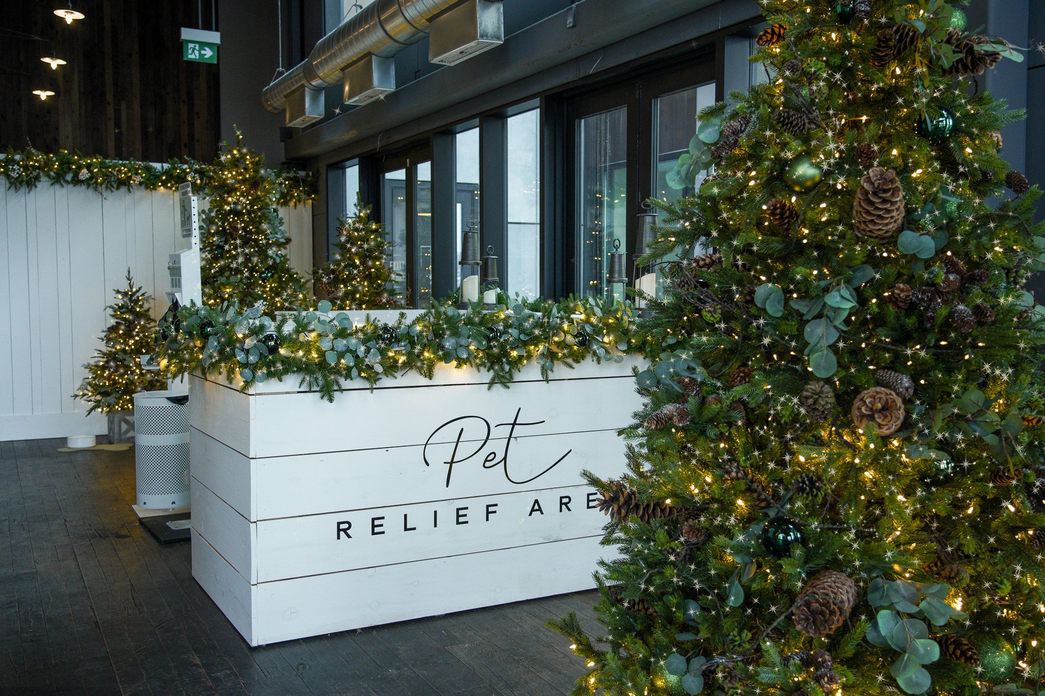 Yorkdale Mall - Holiday Pet Studio