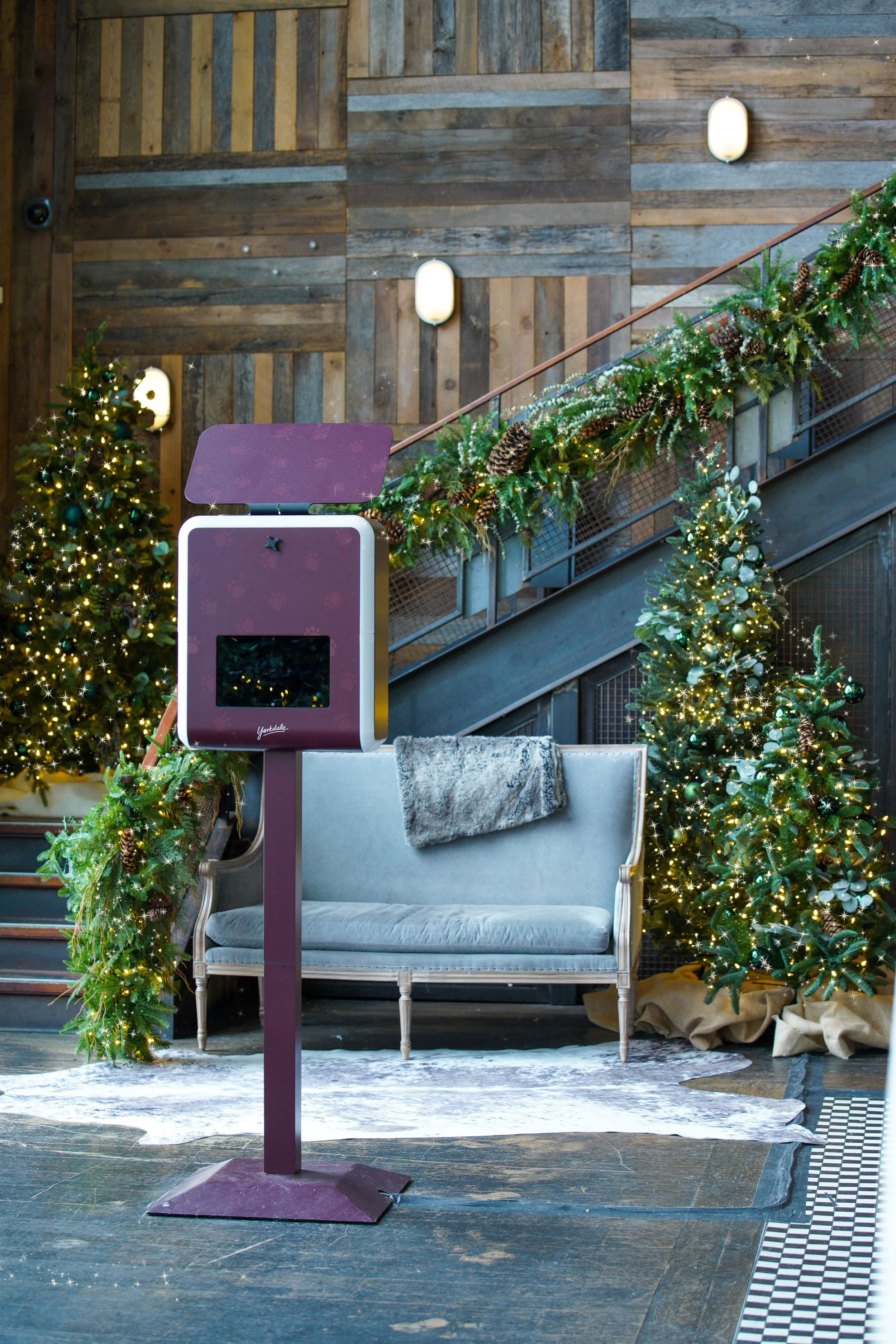 Yorkdale Mall - Holiday Pet Studio