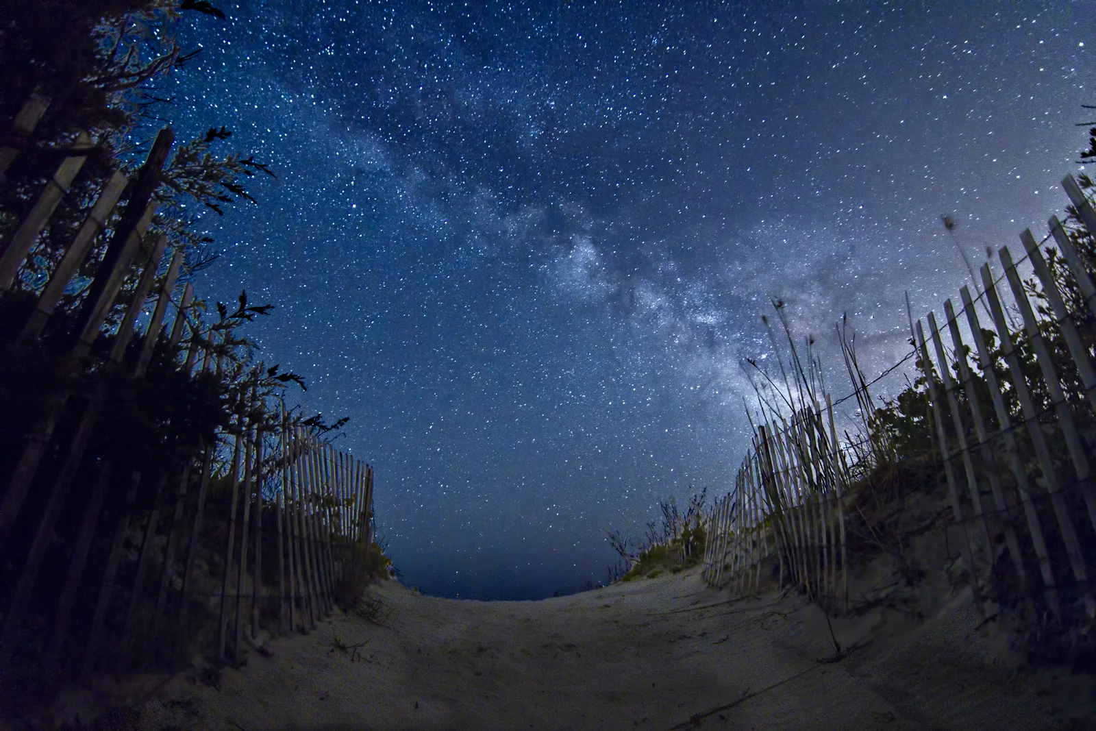 Photograph by Jack Fusco