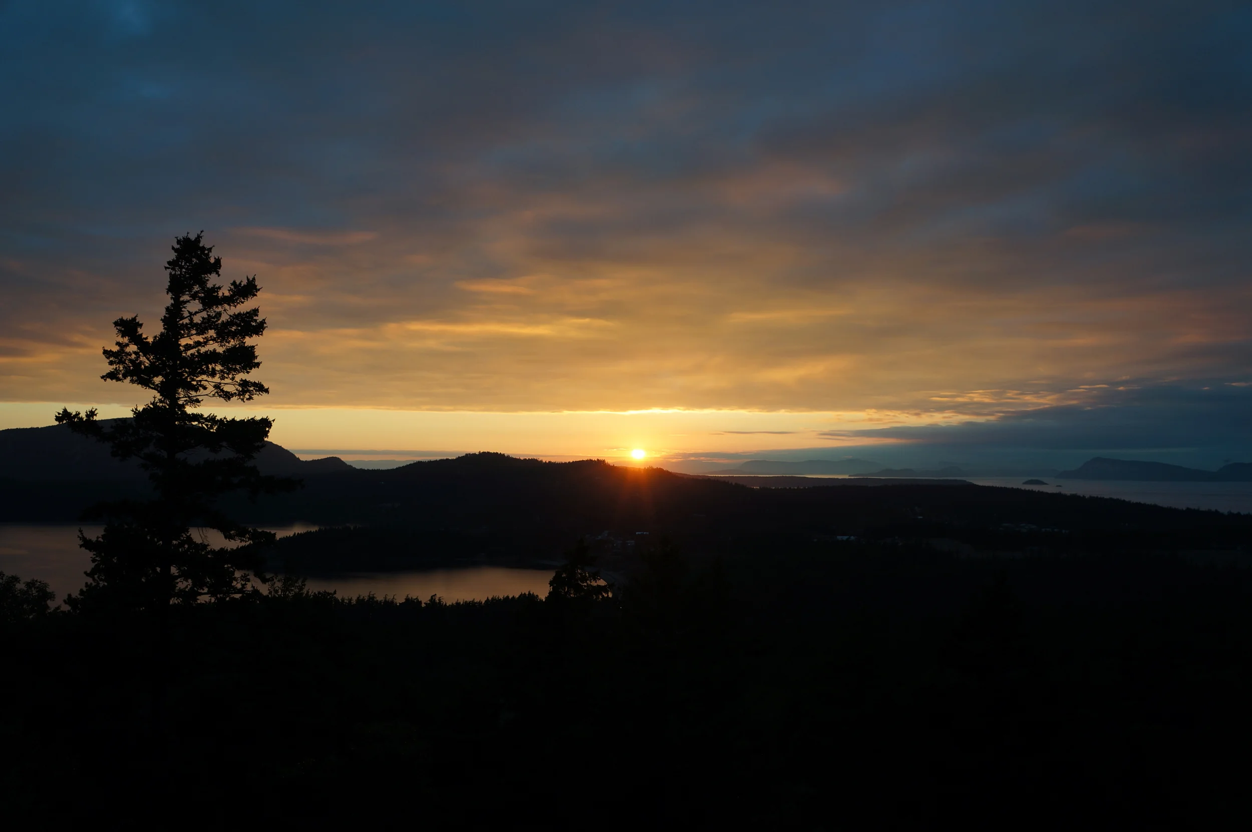 IOA_Orcas_Sunset.jpg