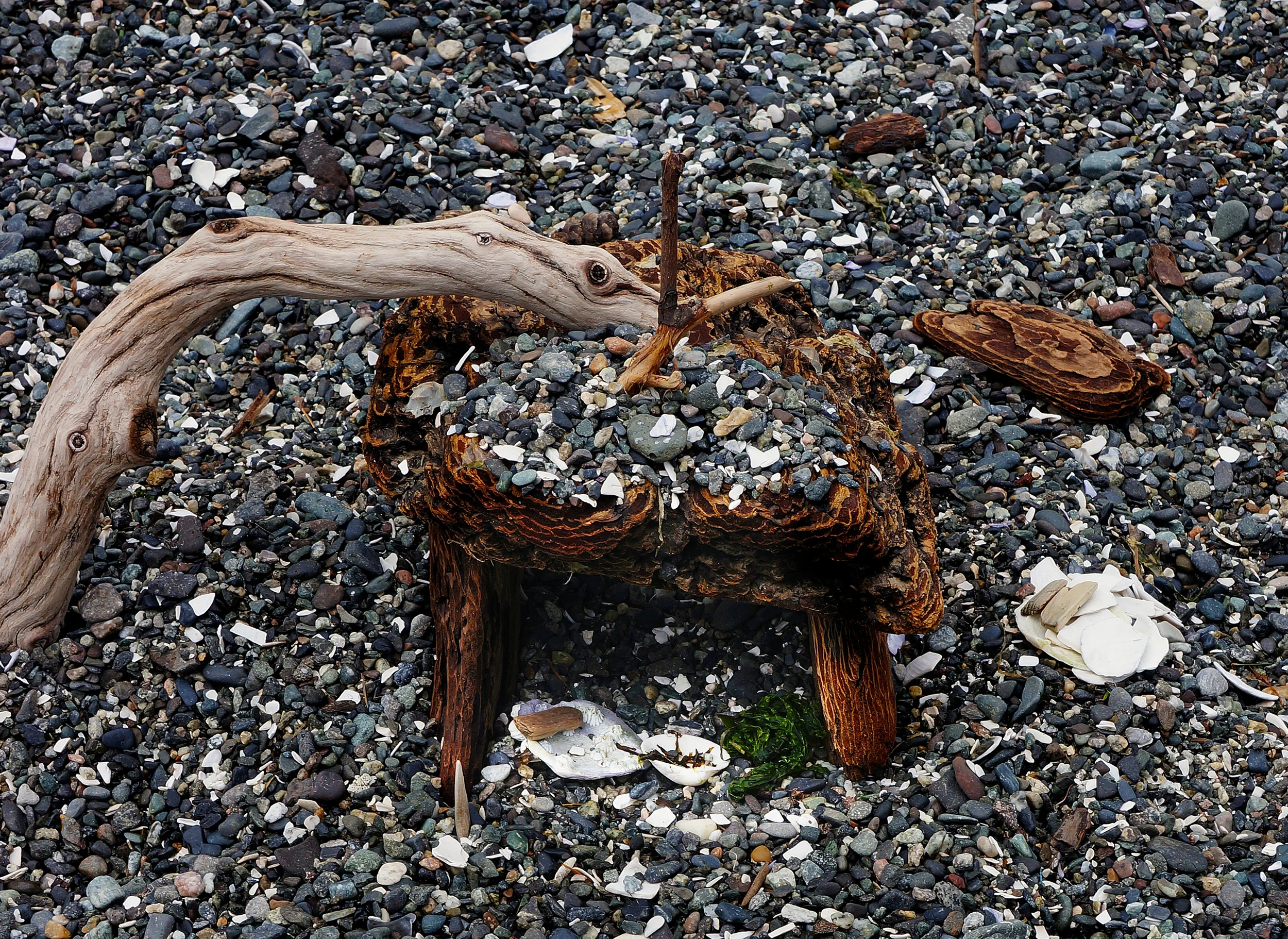 A driftwood sea serpent checks out a fairy house on Fishing Bay's beach | Orcas Island