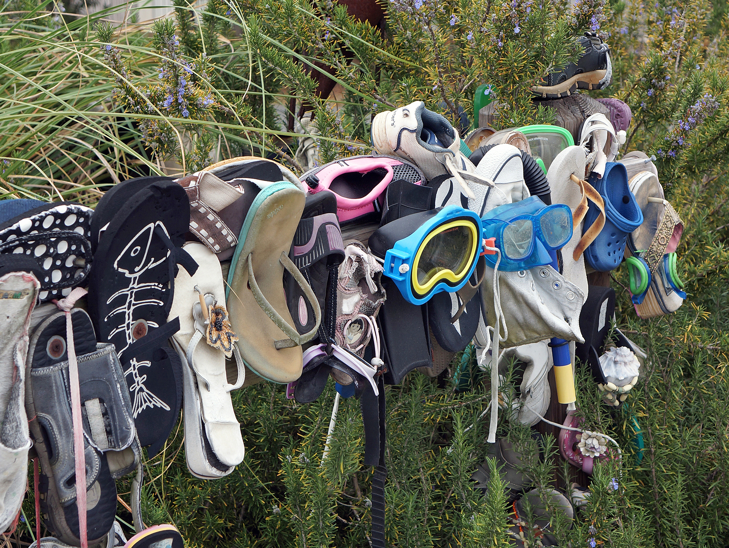 IOA_Tybee_Washashore_Shoes-Crop.jpg