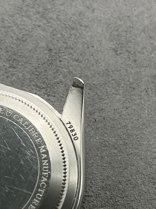 Tudor BBGMT 79830 Head Only Lug 2.JPG