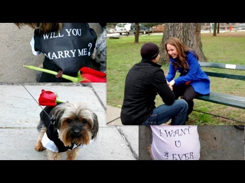 Puppies Deliver Best Marriage Proposal