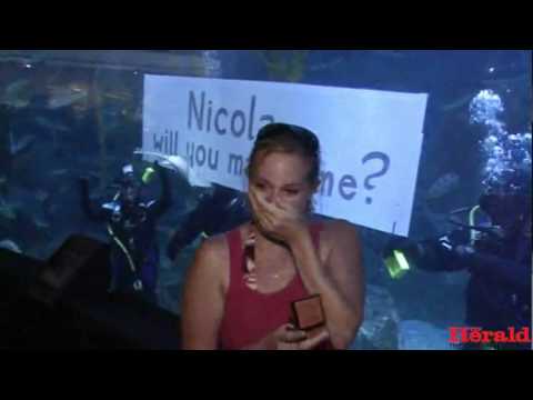 Man Proposes at an Aquarium with the Help of Scuba Divers
