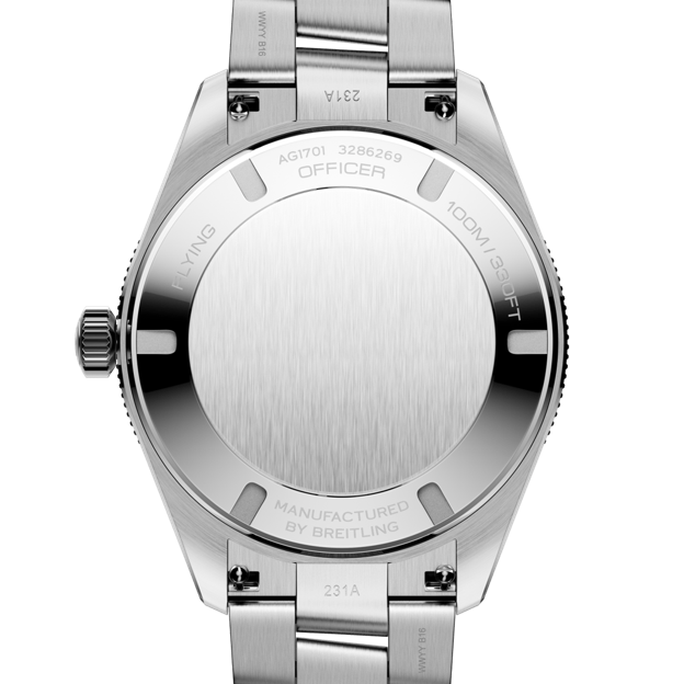AG1701131C1A1 Caseback.png
