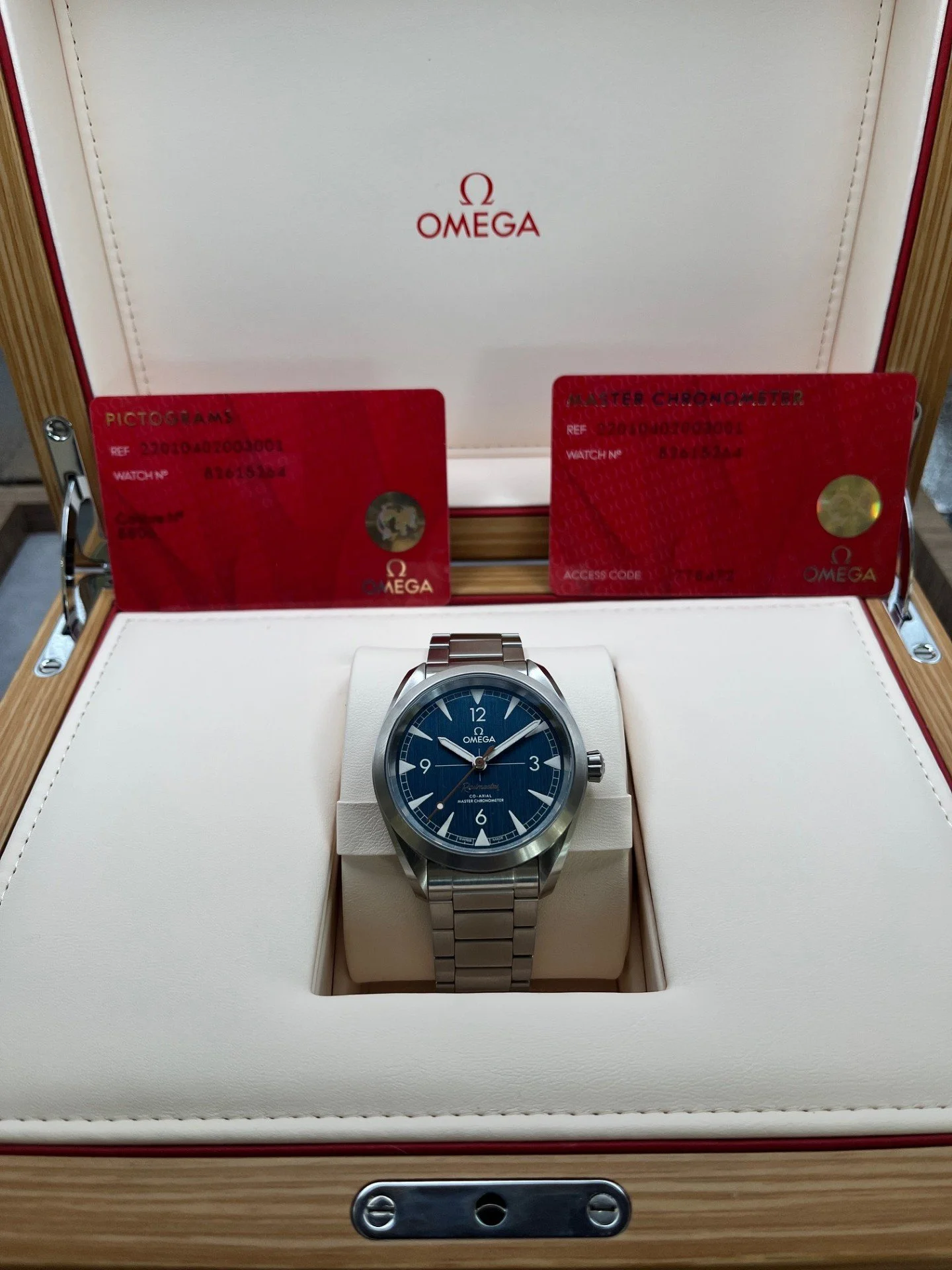 Omega Railmaster Main.jpg