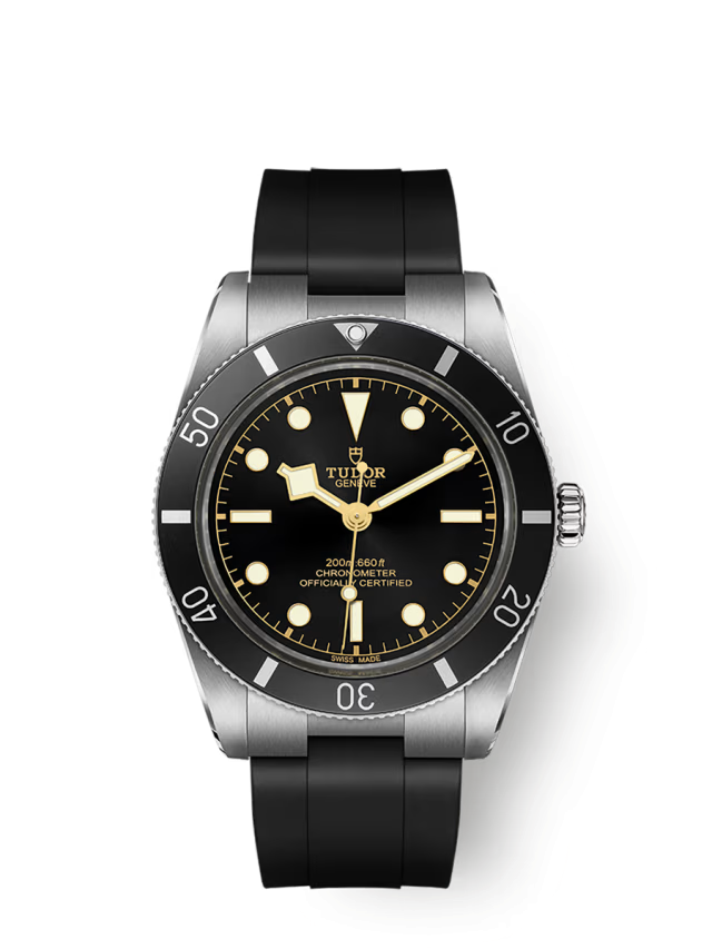 Tudor Black Bay 54 Ref. 79000N