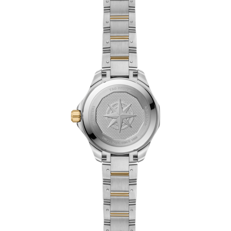 WBP1323.BA0004 Caseback.png
