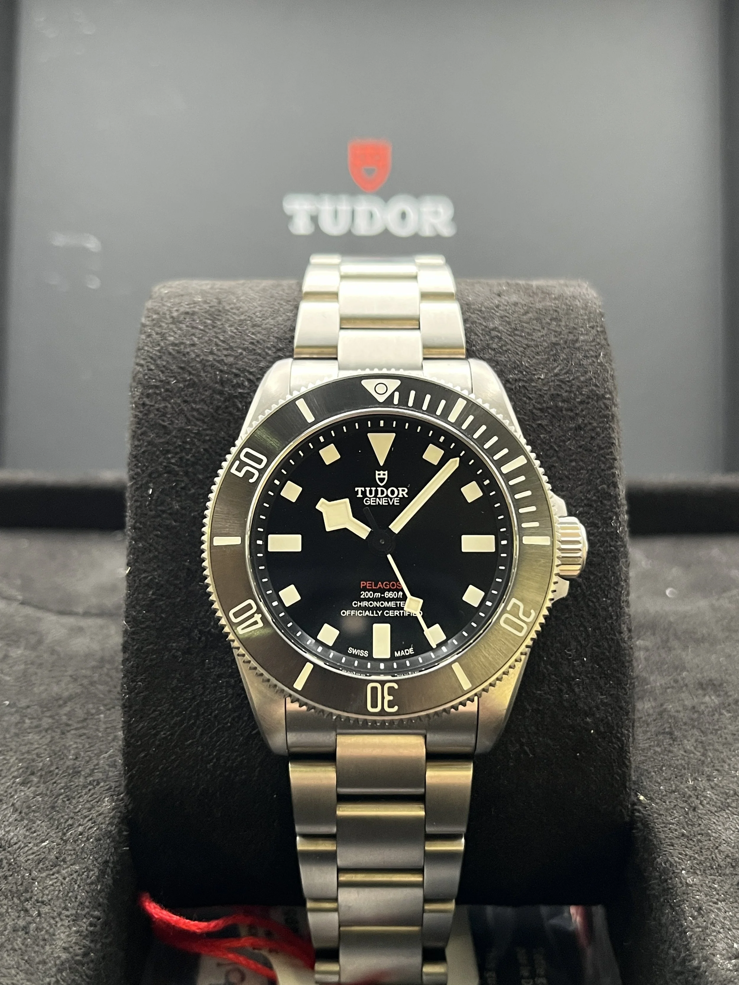 Tudor Pelagos 39 Main.JPG