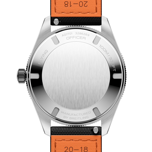 AG1701131C1W1 Caseback.png